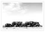 Elephant Family, Landscape