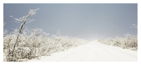 Dusty Road, Etosha