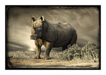 White Rhino