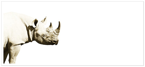 Sepia Rhino