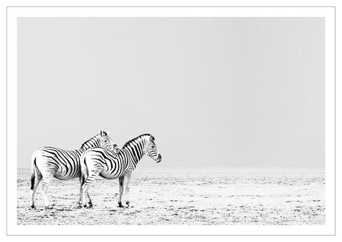 Zebra 2 Landscape