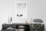 Wildebeeste